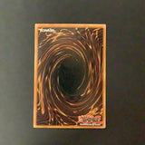 Yu-Gi-Oh Magician's Force -  Dark Paladin - MFC-105*U - Used Ultra Rare card