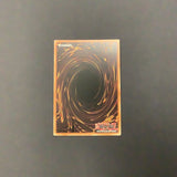 Yu-Gi-Oh Lost Millenium -  Megarock Dragon - TLM-EN015 - As New Super Rare card