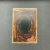 Yu-Gi-Oh Dark Crisis - Vampire Lord - DCR-000 - Mint Secret Rare card
