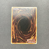 Yu-Gi-Oh Hidden Arsenal 2 - Mist Valley Apex Avian - HA02-EN049 - Used Secret Rare card