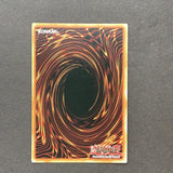 Yu-Gi-Oh Mystic Fighters - Dragonmaid Lorpar - MYFI-EN021 - As New Secret Rare card