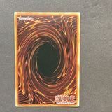 Yu-Gi-Oh! Ice Dragon’s Prison MP21-EN155 Secret Rare 1st edition Near Mint