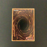 Yu-Gi-Oh Collector Tin card - Evolzar Dolkka - CT09-EN001 - As New Secret Rare card