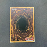 Yugioh Premium Gold 2 - Karma Cut - PGL2-EN067 - Used Gold Rare card