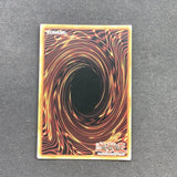 Yu-Gi-Oh Dragons of Legend -  Ra's Disciple - DRLG-EN024 - Used Secret Rare card