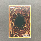 Yu-Gi-Oh! Red-Eyes Fang With Chain LDS1-EN021 Limited Edition Secret Rare Near Mint