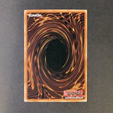 Yu-Gi-Oh Ancient Sanctuary - Zaborg the Thunder Monarch - AST-023*U - Used Super Rare card