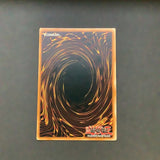 Yu-Gi-Oh Collectors Tin  2 - Panther Warrior (Collector Tin Set 4) - CT2-EN006 - As New Secret Rare card