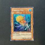 Yu-Gi-Oh Tactical Evolution - Cranium Fish - TAEV-EN083 - Used Secret Rare card