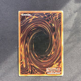 Yu-Gi-Oh Duelist Pack 2 - Armed Dragon Lv10 - DP2-EN013 - Heavy Played Ultra Rare card