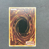 Yu-Gi-Oh! Sacred Noble Knight of King Artorigus NKRT-EN038 LIMITED EDITION Platinum Rare Used Condition