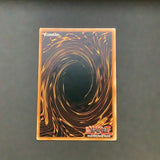 Yu-Gi-Oh Collectors Tin  2 - Panther Warrior (Collector Tin Set 4) - CT2-EN006 - As New Secret Rare card