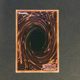 Yu-Gi-Oh Premium Gold Infinite Gold - Number 77: The Seven Sins - PGL3-EN011 - Near mint gold Secret Rare card